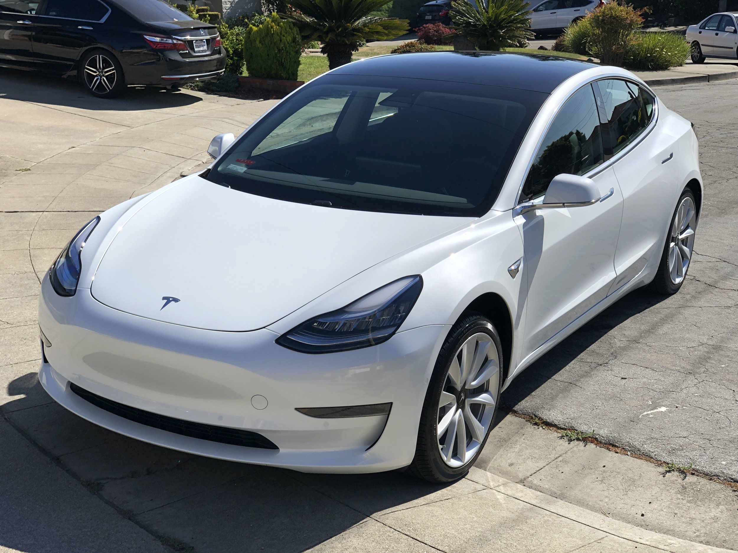 2019 Tesla Model 3 (Pearl White) — DETAILERSHIP™